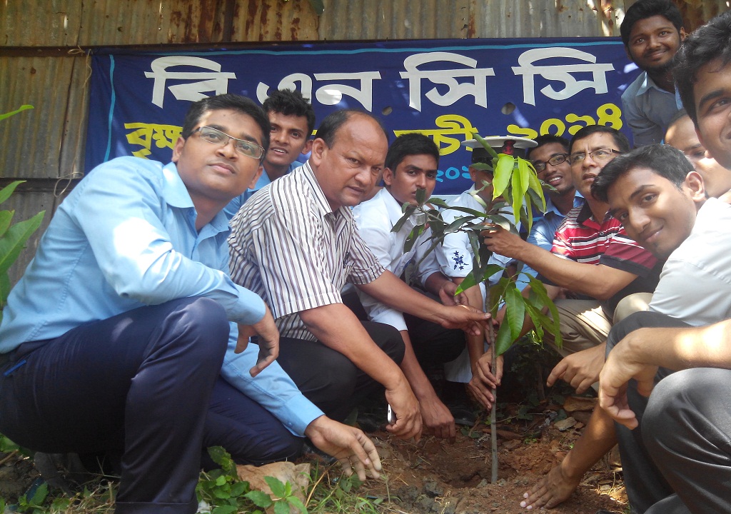 Tree Plantation